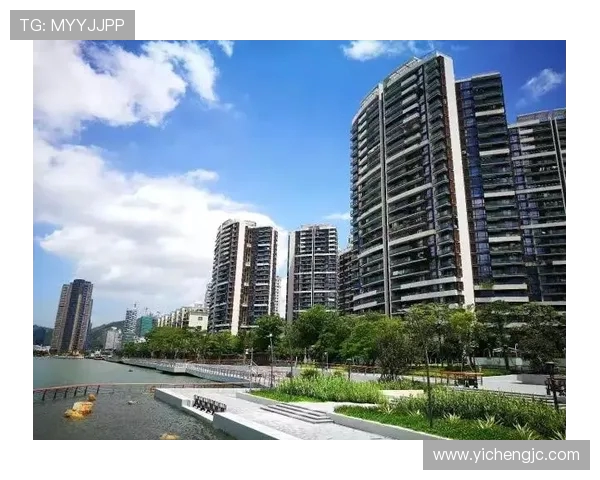 深圳飞盘队实力深度剖析与其他队伍的全面对比分析