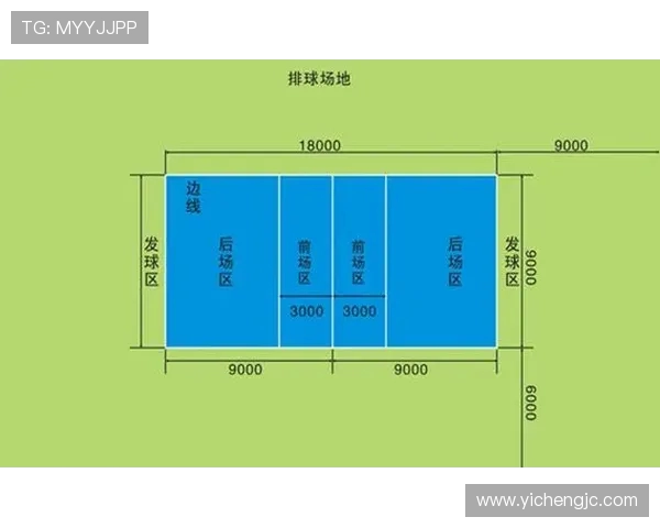 成都排球队状态深度对比分析与未来发展趋势探讨