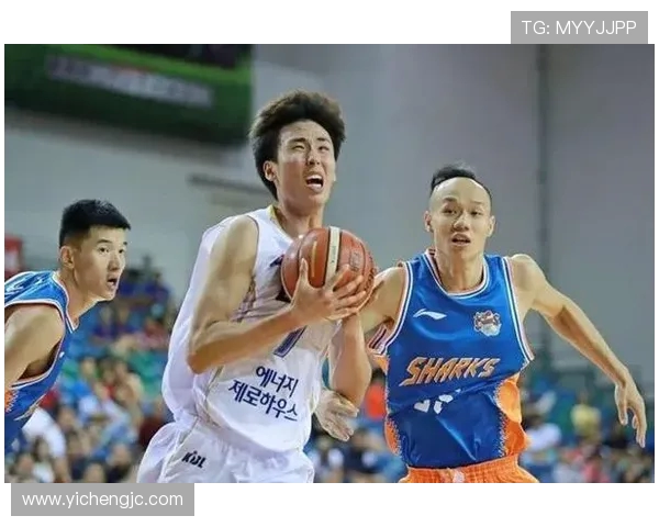 上海篮球队强势领跑挑战赛积分榜积累75分展现冠军实力