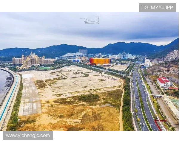 广州排球队实力分析与未来发展潜力的深入探讨