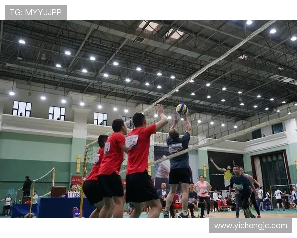 成都排球队杯赛战术解析与表现评估全面分析