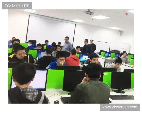 杨伟独家分享飞盘技巧与心得体会助你提升竞技水平与乐趣